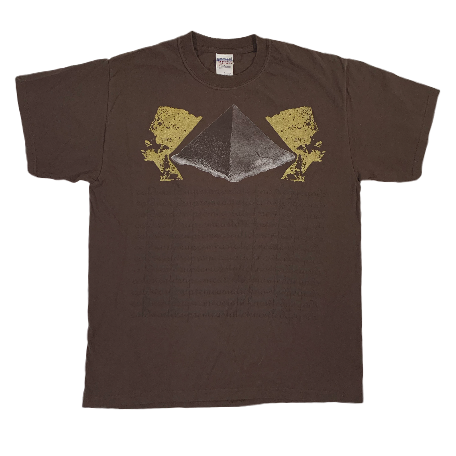 Vintage Cold World "Supreme Knowledge" T-Shirt - jointcustodydc