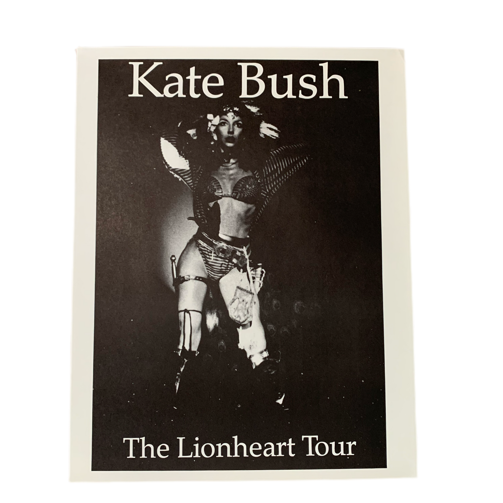 Vintage Kate Bush “The Lionheart Tour” Poster - jointcustodydc