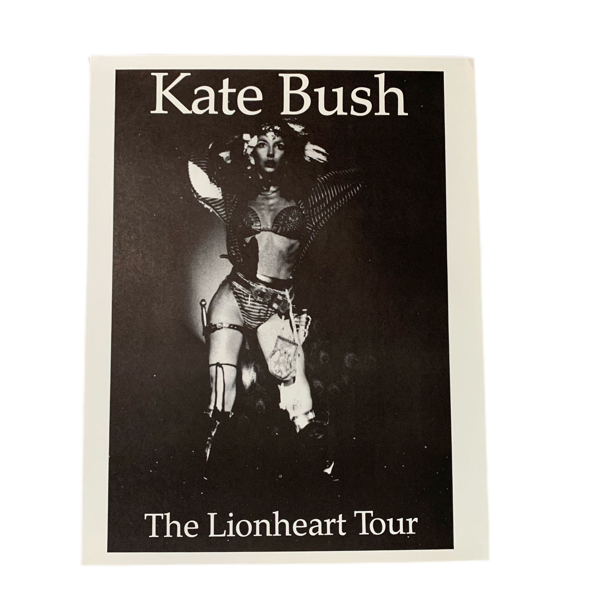Vintage Kate Bush “The Lionheart Tour” Poster - jointcustodydc